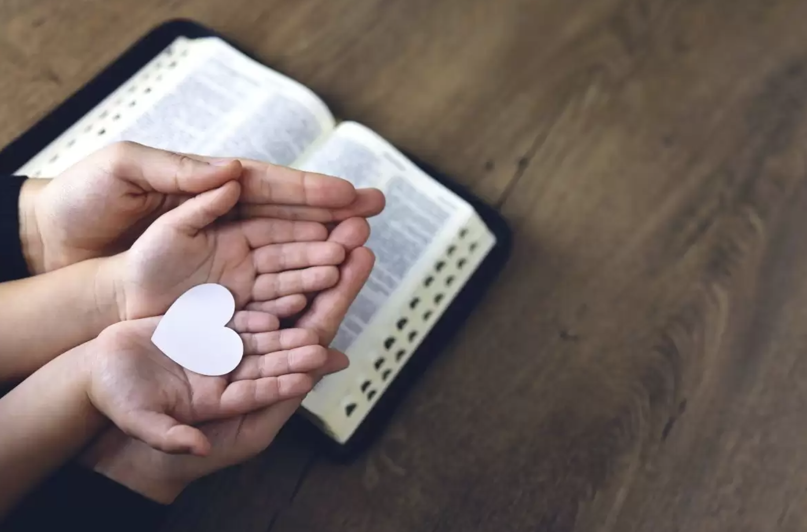 El trabajo de campo de la derecha